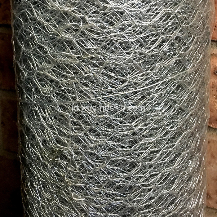 Galvanis Heksagonal Wire Mesh Untuk Unggas