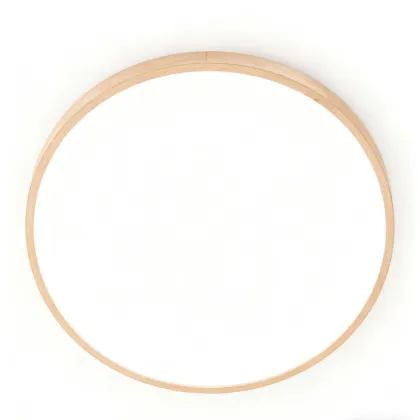 LED Ceiling Light for General Illumination