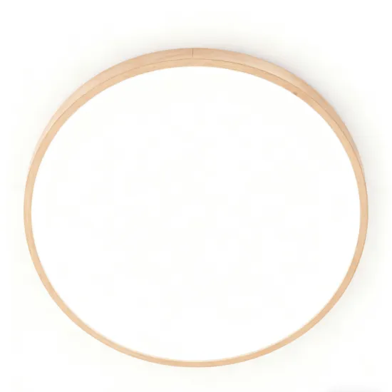 LED Ceiling Light for General Illumination