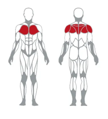 Gym Fitness Equipment Upper Body Smith Dual System