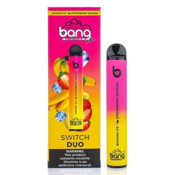 Custom Logo Bang Double Flavors 2500