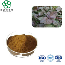 Free Sample Perilla Frutescens Extract Powder