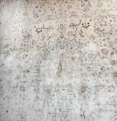 Hand-Knotted Indian Pure Mulberry Silk Rug