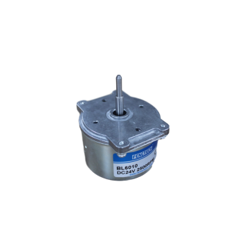 FengTech Rare Earth Magnet BLDC Motor BL6010