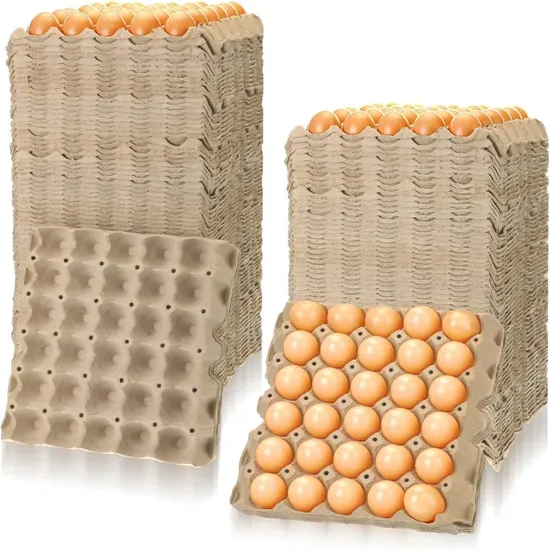 Biodegradable Chicken Egg Cartons for Refrigerator