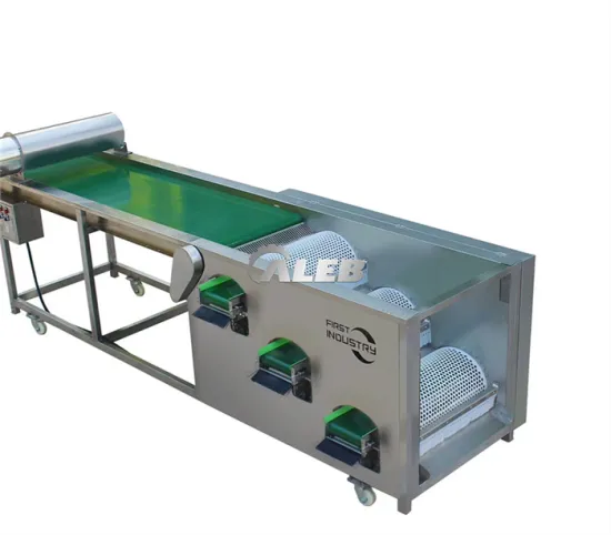 High Reputation Tomato Lemon Automatic Grading Machine: Precision Sorting Solutions