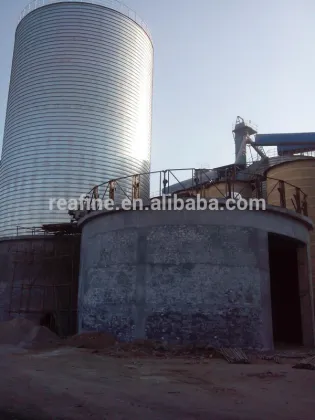 Steel Structure Silos