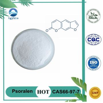 Kualiti Top 98% Psoralen Powder CAS 66-97-7