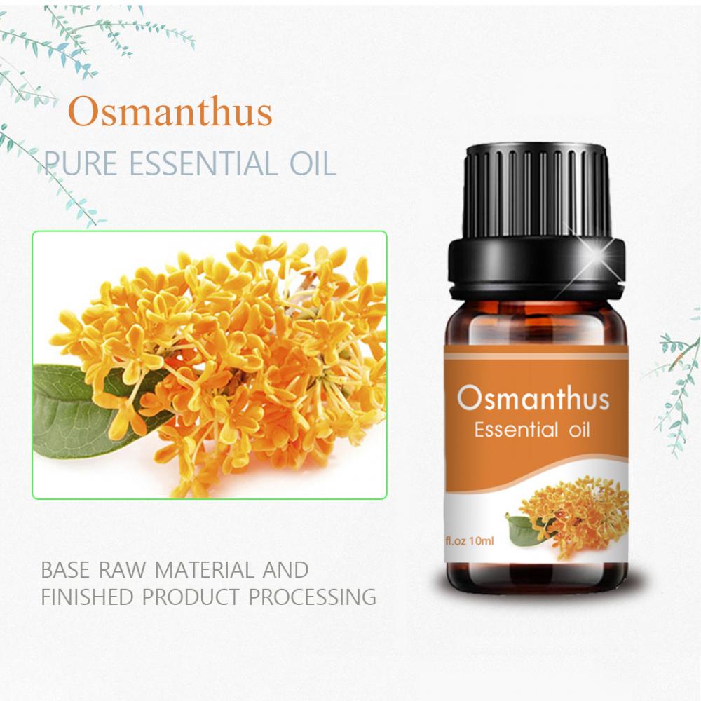 Cosmético Grado 10 ml Pure a granel Osmanthus esencial Aceite