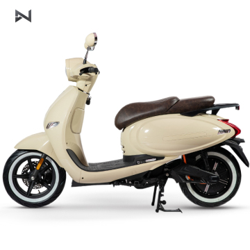 EEC Double Lithium Battery for 2-Person 4000W Motorcycle, Electric Motorcycle, and Scooter