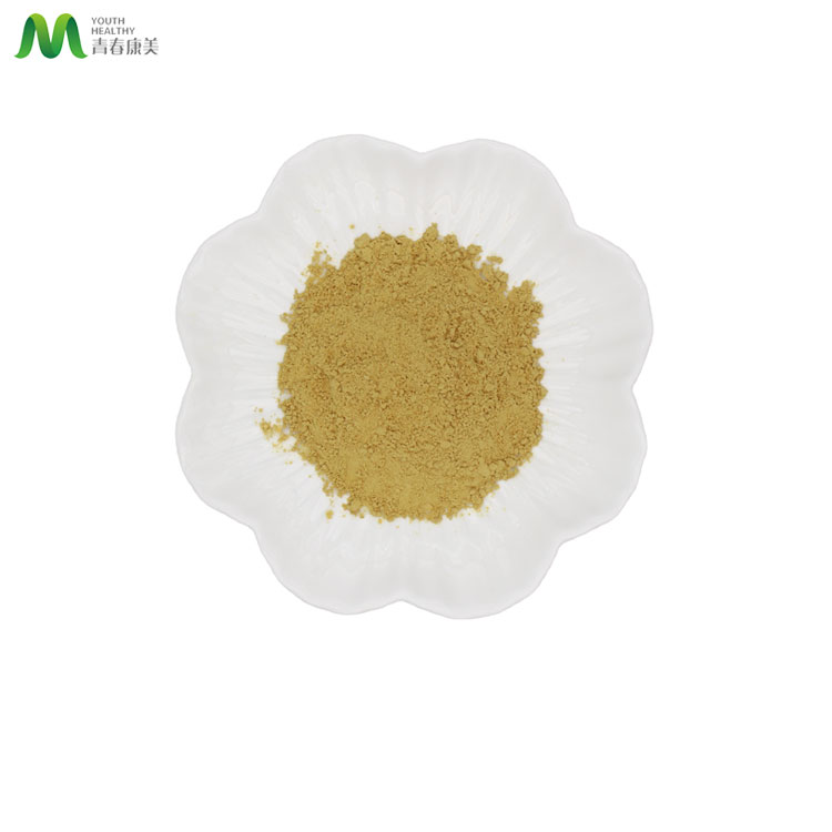 Excellent Quality Cracked Cell Wall Pine Pollen Powder