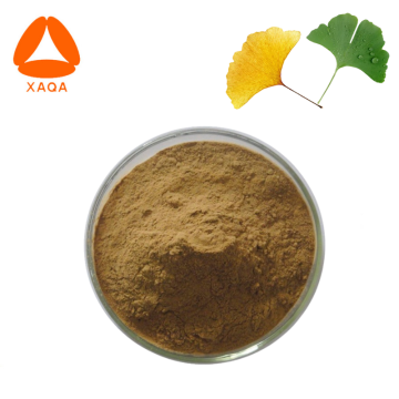 24% Flavone 6% Lactone Ginkgo Biloba Extract Powder
