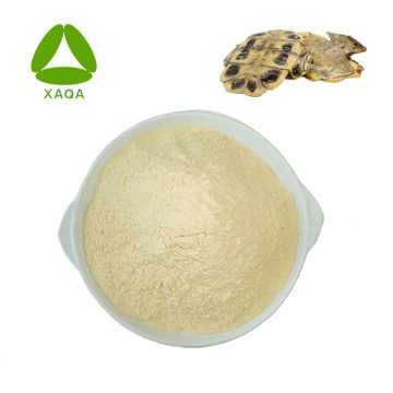 Polvo de proteína de péptido de caparazón de tortuga