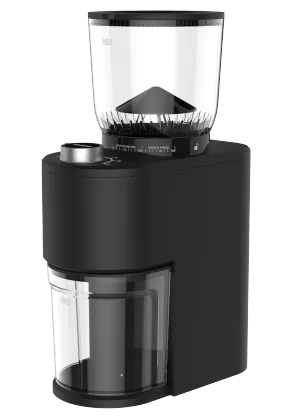 Smart grinder Pro Coffee bean grinder