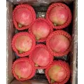 Premium Selection Soft-Seed Pomegranate