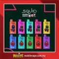 Disposable Vape Squid Box Disposable 5200 Puffs 12ML