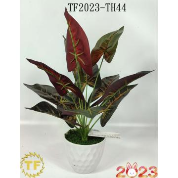 46cm Caladium leaf x 12 with plastic Pot