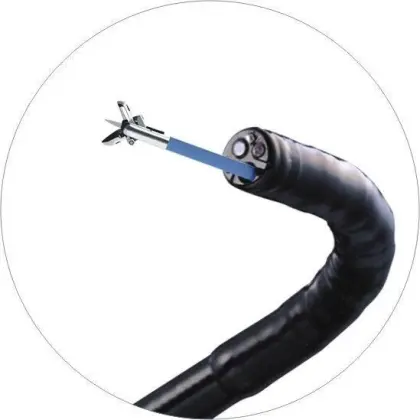 CE FDA Disposable Surgical endoscopic Biopsy Forceps for enteroscopy and gastroscopy