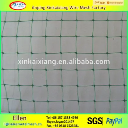 Anping plastic bird protection net,anti bird protection net