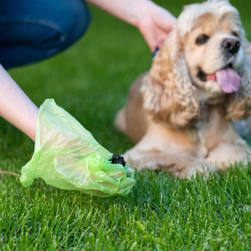 Çevre dostu köpek evcil hayvan atık çantaları