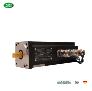 Heavy-Duty DC Explosion Proof Servo Motor