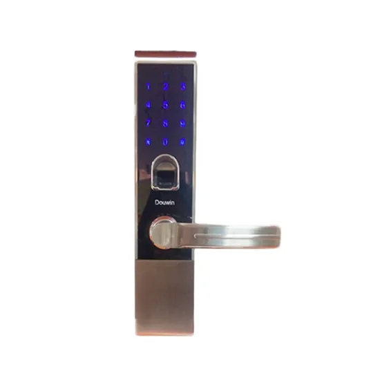 Apartment/Hotel/Office Security: Password and Fingerprint Door Lock Code Change Guide