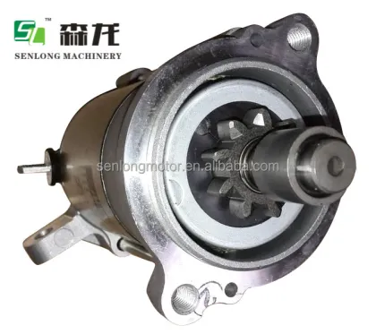 12V 11T Starter Motor for Taiga Snowmobile in Novosibirsk 428000-8971