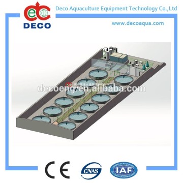 DECO Recirculating aquaculture system for 1000m3