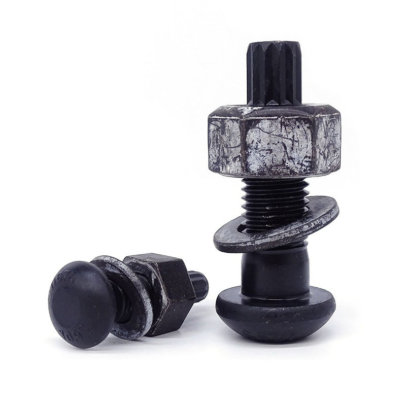 Torshear Type High Strength Bolt for Steel Structures (12)