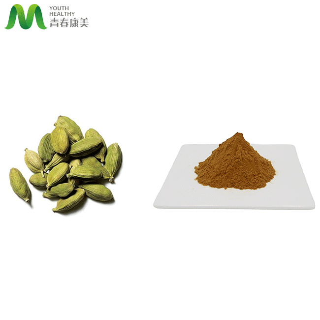 Pure Green Cardamom Extract Powder