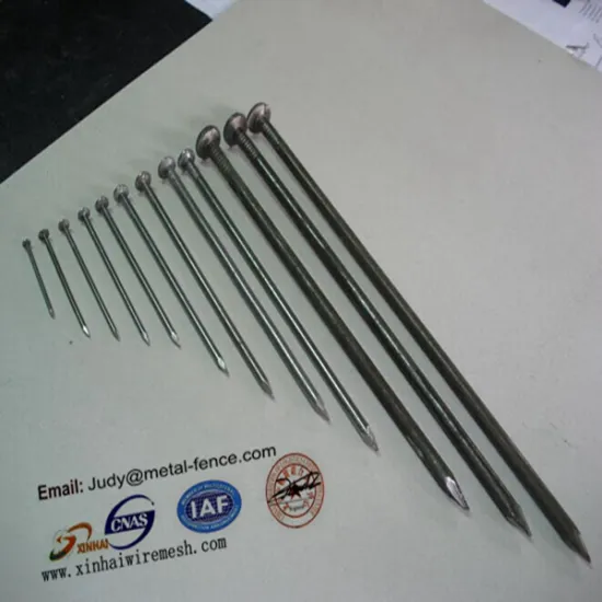 Hot Dipped Galvanize Wire/Galvanized Iron Wire/Binding Wire