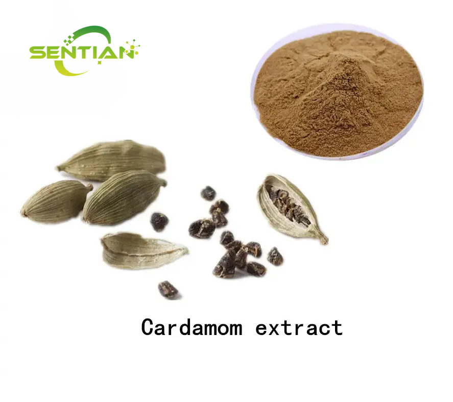 Pure Natural Cardamom Seed Extract Cardamonin 99%