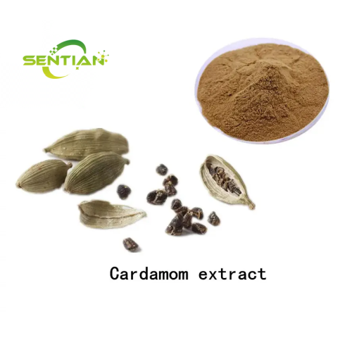 Pure Natural Cardamom Seed Extract Cardamonin 99%