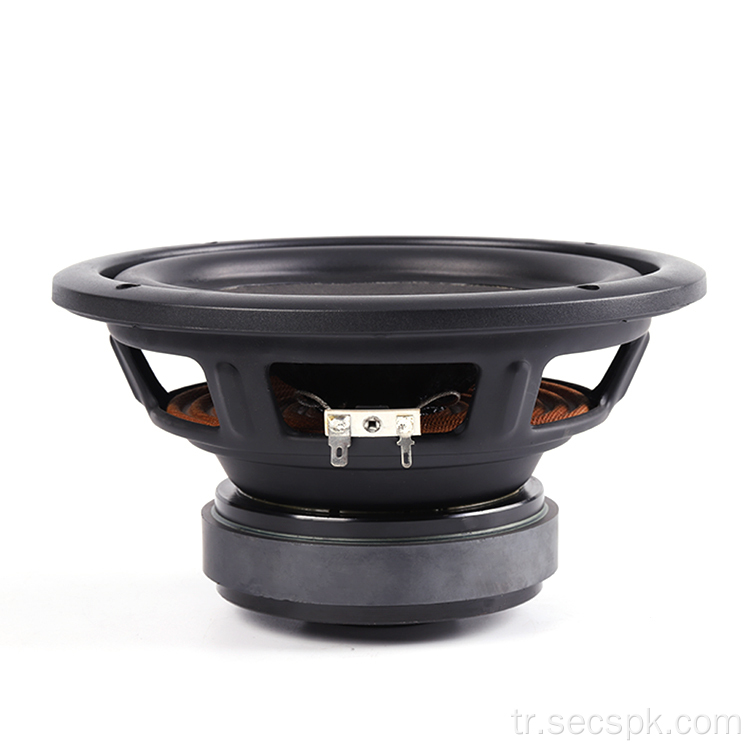 10 &quot;subwoofer Hoparlör Sesi ve Setleri