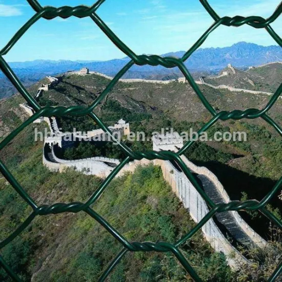 Hot sale hexagonal plastic mesh manufacturer in China