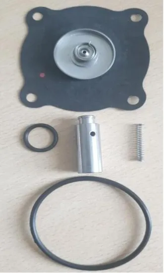2W Spare Parts Solenoid Valve Diaphragm 150 degree