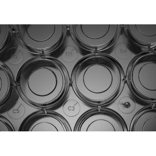 20mm glass bottom cell culture dish China Manufacturer