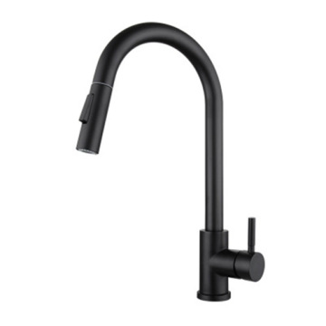 Matte Black Pull-Out Sprayer Kitchen Faucet