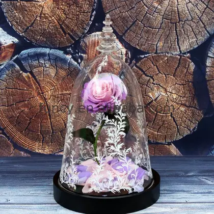 Best Valentine's Day Gift: Preserved Flower Beauty and the Beast Enchanted Rose