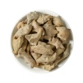 Medicinal Uses of Natural Galla Chinensis