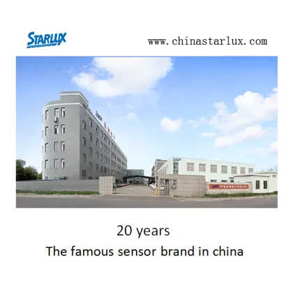 High-Quality Smoke Alarm ST81 & Smart Home Fire Protection Solutions