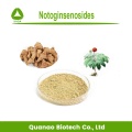 Sanchi / Panax Notoginseng-Extrakt 80% Sanchinosid-Pulver