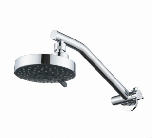 Shower Arm.