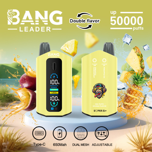 Bang Leader 50000 Vape Pen Wholesale Germany