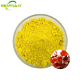 Premium Plant Extract Fisetin