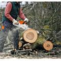 Original STIHL High-Performance Petrol Chainsaw