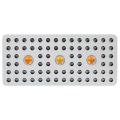 Pianta da interno COB Led Luci Fioritura