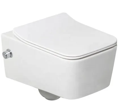 Nozzle Ceramic Sanitary All in One RimlessToilet