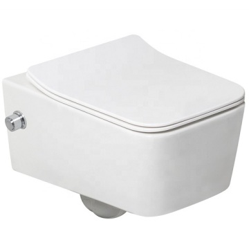 All In One Rimless Wall Hung Bidet Toilet