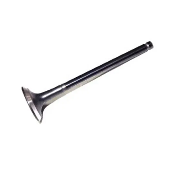 Genuine Auto Intake Valve for Hyundai-Kia 222112B400